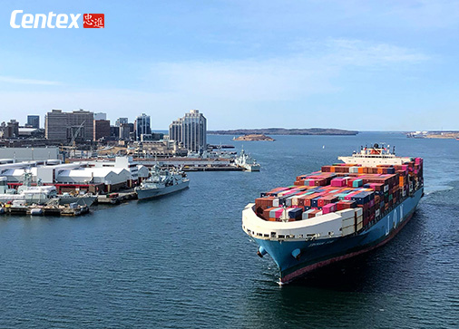 青岛忠进国际货运代理有限公司