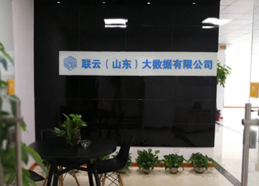 联云（山东）大数据有限公司